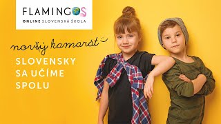 Flamingos - ONLINE slovenská škola / Čo o nás hovoria naši žiaci