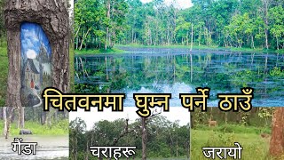 Batuli pokhari bharatpur Devnagar Chitwan | Beautiful places to visit in Chitwan Nepal 🇳🇵| चितवन ताल