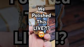 Polished the Oregon state rock LIVE 🪨 ✨️ #oregon #lapidary #live