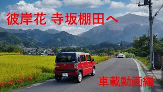 彼岸花咲棚田へ 車載動画編 国道299ネズミ捕り遭遇