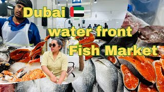 ￼ ඩුබායි වල තියෙන ලොකු මාළු වෙළඳ සැලක් /fish, market, dubai / water font market @Csyoutubers-e4c