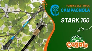 Campagnola STARK 160 - Forbice elettrica da potatura su asta | Acquistala su Cugola.it