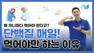 [노리스토리] 단백질 꼭 먹어야 할까요? 이유와 원리 알아보기