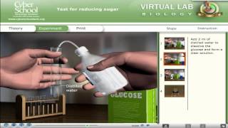 CSEC Biology Virtual Lab - Test for Sugar