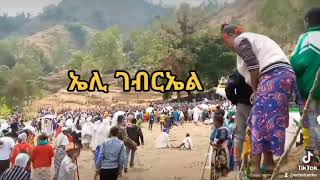 ኤሊ ገብርኤል...??