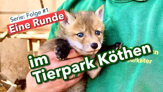 Eine Runde: im Tierpark Köthen