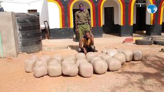 Police in Mandera nab bhang worth Sh800,000 Sub County Police Commander Eric Ngetich confirms