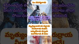 శక్తివంతమైన ఈ శివమంత్రం వినటం,జపించడం వలన మనసులో ఉన్న బాధలు, భయాలు తొలగిపోయి మనసు ప్రశాంతంగా ఉంటుంది