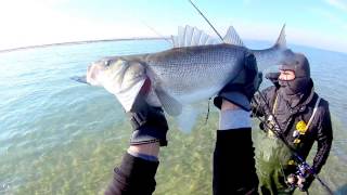 SPINNING BORRAS - sea bass fishing with spinning  ψαρεμα λαβρακι με σπινινγκ στην βορεια Ελλαδα