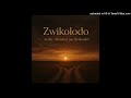 Acolly Mandiza & Nethwadzi-Zwikolodo