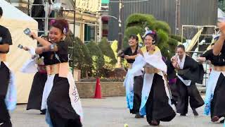 東京よさこい 舞桜 (まいさ) 東京よさこい’24