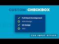 Custom Checkbox Style CSS | How to Create Custom Check Box in CSS