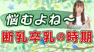 断乳卒乳時期はどう決める？見方によって意見も違う！12人育てた経験を語ります！