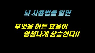 447 미라클챌린지 시즌3 Day 044 - 어떠한 실적 목표든지 반드시 달성하게 만드는 뇌 사용 방법