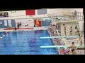 107c 1 meter new dive 2020 tiger claw invite