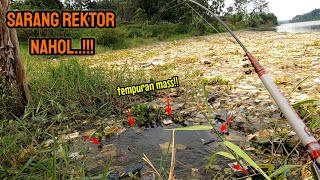 SARANG REKTOR NAHOL‼️KETEMU SPOT KAYA GINI PASTI JACPOT || mancing ikan red devil NAHOL MANIA