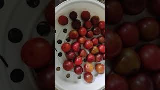 mouth watering summer fruits 🍍🍎🍓🍇😍😍😍😍#shortsvideo #viralvideo #explore #tasteofnepal