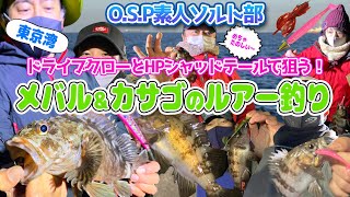 ドライブクローとHPシャッドテールで狙う!「釣って興奮❤️食べて満足❤️誰でも釣れる??メバル\u0026カサゴのルアー釣り編」