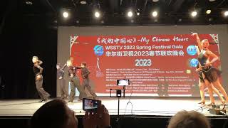 2023春节联欢晚会《我的中国心》