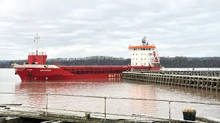 Anzoras arriving #Sharpness #Dock