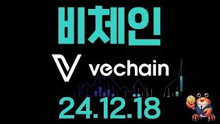 비체인(vet)코인 앞으로 이렇게 움직일겁니다