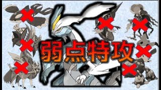 弱点をつけない相手の方が少ない？？ホワイトキュレムの技範囲が異常すぎる【ポケモン剣盾】