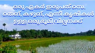 ഒരു ഏകർ ഇരുപത് സെ. /തെങ്, കഴുങ്, എന്നീ കൃഷികൾ ഉള്ള ഒരു ഭൂമി വില്പനക്ക് /