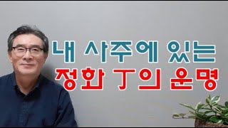 사주에 정화 丁 사주의 운명과 정화사주의 특징 알아보기 - 정화 일주,정화 일간,정화 사주 보기