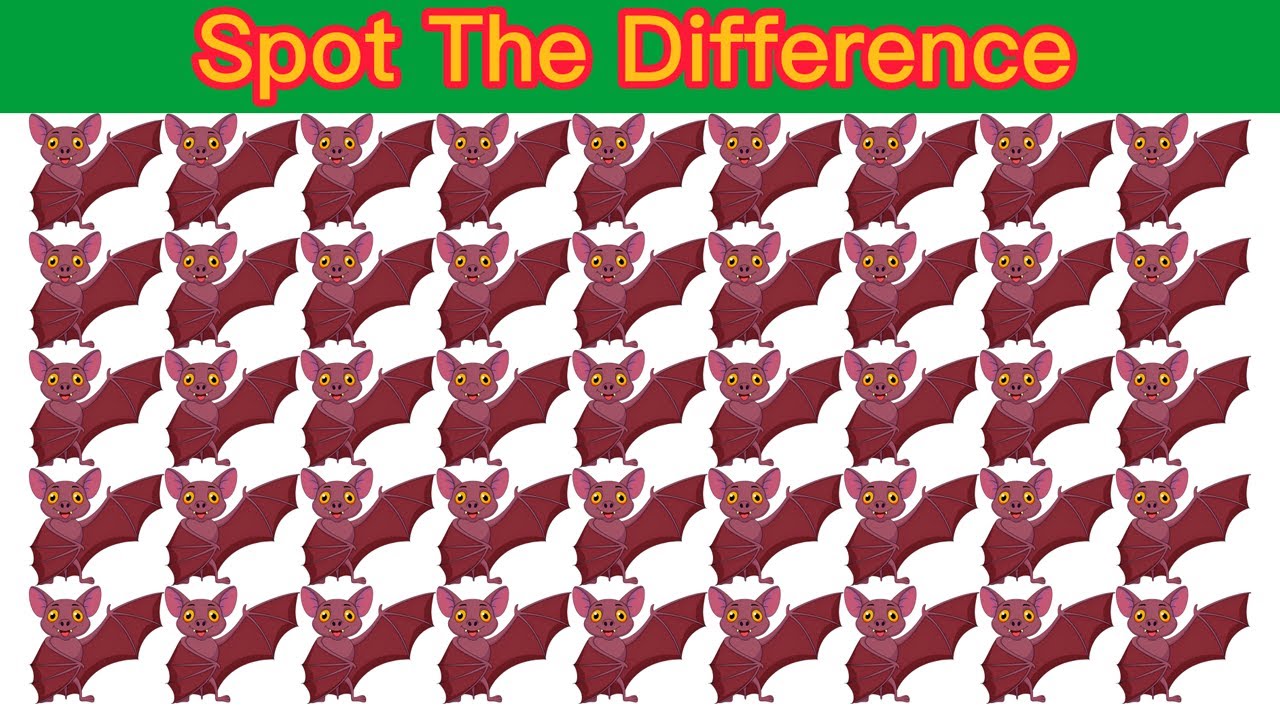 Spot The Difference Eyesight And Brain Test Youtube