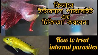 কিভাবে ইন্টারনাল প্যারাসাইট এর চিকিৎসা করবেন |  How to cure internal parasite | Roman's World