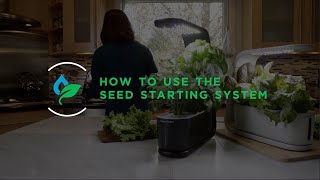 AeroGarden Sprout Seed Starting System