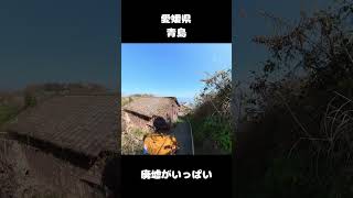 愛媛県青島