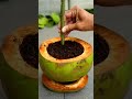 Best Propagation Growing plant in 6 days | Growing plant 5 days | Grafting 13.  #garden #gardening