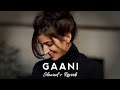 Gani -(Slowed + Reverb) Akhil | Lofi |Punjabi Lofi | Lofi Feelings #lofimusic #trending