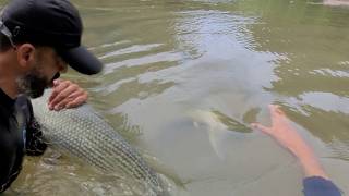 Sobrevivendo sozinho da pesca em um rio selvagem #peixeassado 🔥