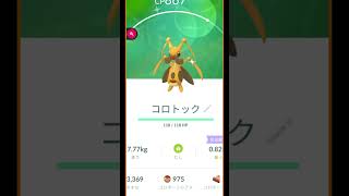 ＃shorts◇色違いコロボーシ進化で色違いコロトック＊AIの音声 癒やし？のマユ BGM【ポケモンGO】＃721