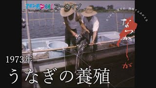 1973年のうなぎの養殖【なつかしが】