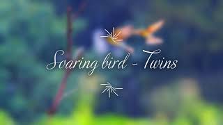 Soaring bird (翱翔的小鸟) - Twins