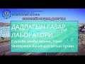 Дархан Уул аймаг дахь Политехник Коллежийн