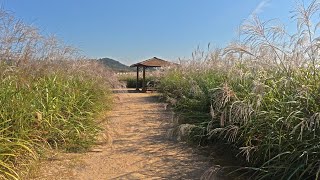 [4K] Sky Garden, Yeongjong-do, Incheon, korea l 인천 영종도 하늘정원 l a quiet autumn morning walk