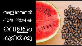 തണ്ണിമത്തന്‍ കുരു എന്ന അത്ഭുതം||Health Tips Malayalam