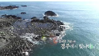 [힐링다큐 풍경] 호국의 기상, 경주에서 빛나다 / 연합뉴스TV (YonhapnewsTV)