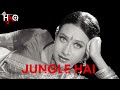 jungle hai biwi no. 1 dj haq salman khan karisma kapoor bollywood remix