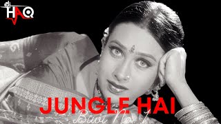 Jungle Hai | Biwi No. 1 | DJ Haq | Salman Khan | Karisma Kapoor | Bollywood Remix