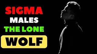 14 Characteristics of a Sigma male | The lone  wolf
