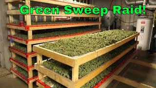 Project Green Sweep is the latest Drug Raid in Toronto ON