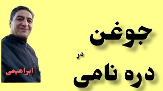 دره نامی جوغن قبرستان نامی دفینه در دره نامی زیرخاکی رضاابراهیمی استادگالیور#treasure