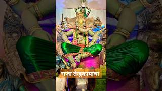 Raja Tejukayacha Lalbaug 2024 #rajatejukayacha #tejukayacharaja #ganeshchaturthi #ganpati #tejukaya