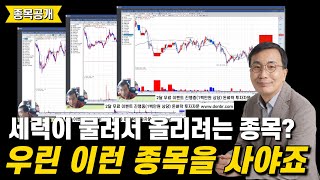 세력이 물리면 오히려 기회? 어짜피 올리니 저가 매수 기회! 몇 종목 알려드릴게요 [돈벼락 투자자문]