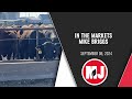 Feedlot owner predicts cattle market trends, details rebuilding challenges | Mike Briggs